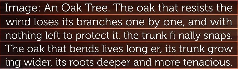 Under the Oak Tree PDF 3